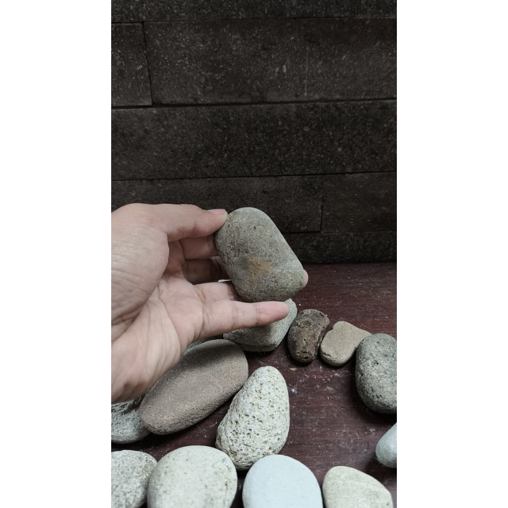 BATU KALI CEPER GEPENGDIAMETER 3-5 CM UNTUK HIASAN TAMAN POT AQUARIUM DAN AQUASCAPE