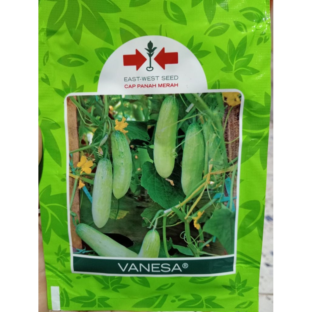 benih timun Vanesa isi 20 gram cap panah merah