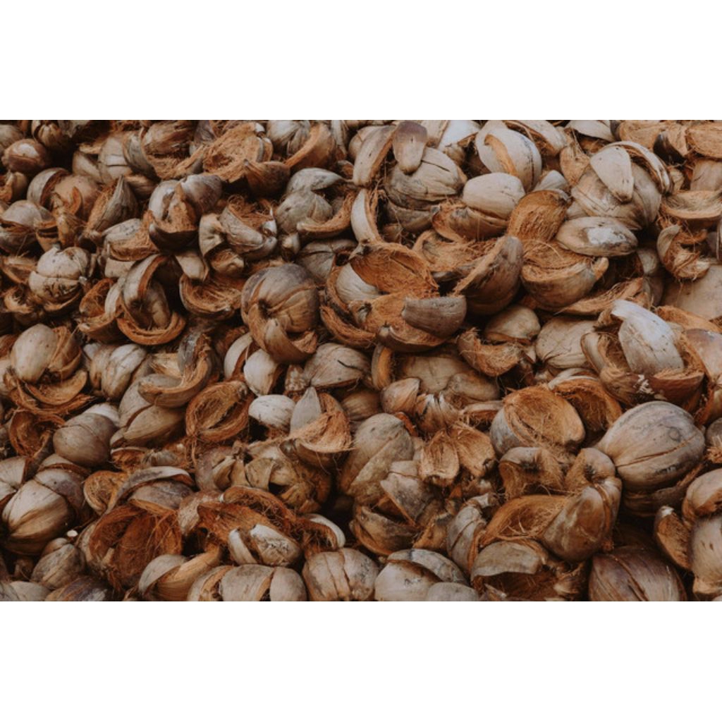 Sabut Kelapa Utuh 1 KG