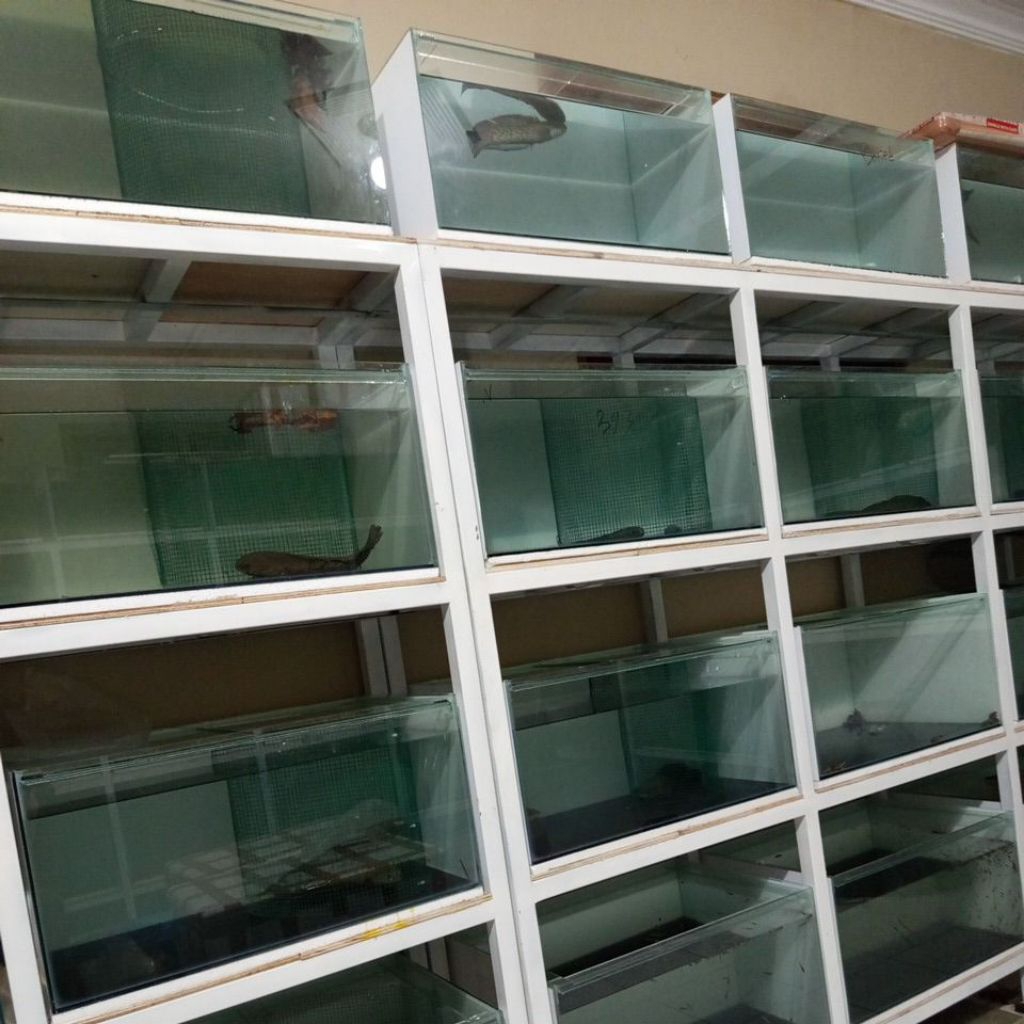 setiker.stwarti/andro