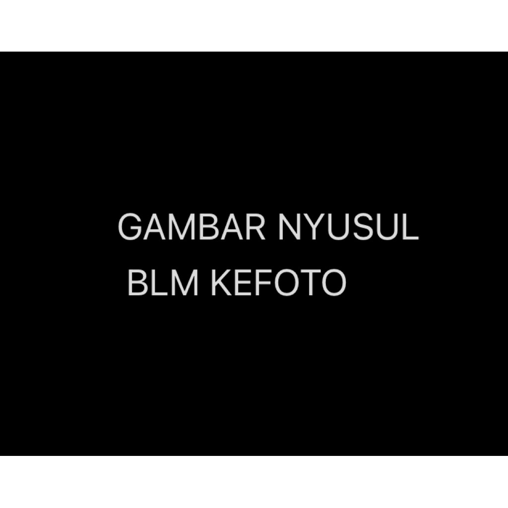 [Bekas/Second] Ring Fit Adventure / Ringfit Adventure English