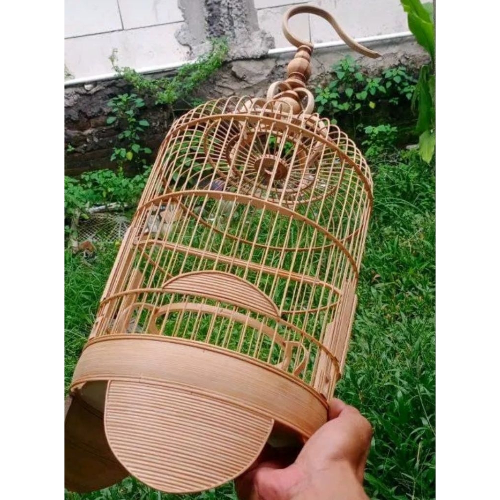 SANGKAR CUNGKOK PLECI