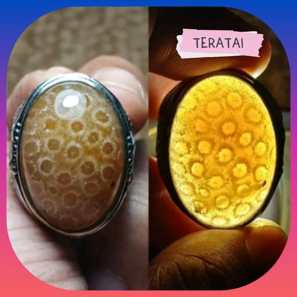 Cincin Pria Batu Teratai Kristal Top Asli Coral Natural