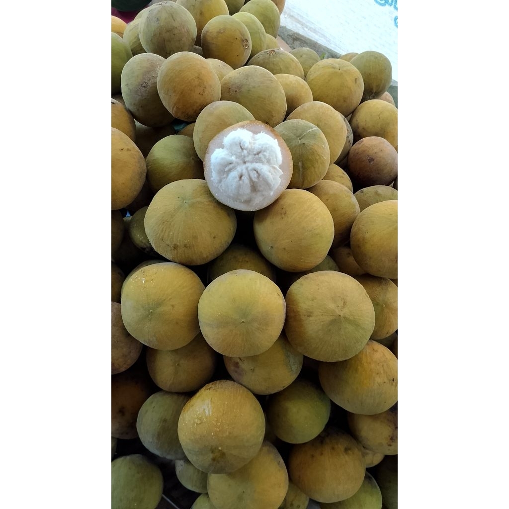 buah kecapi mateng ,,asli manis segar 500g ukuran sedang
