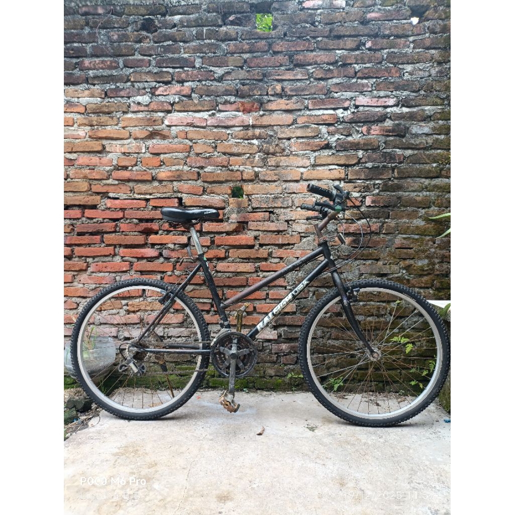 Federal Lady RALEIGH USA Original.