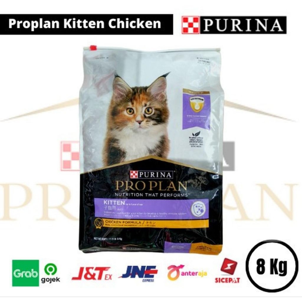 PROPLAN 8KG CHIKEN KITTEN