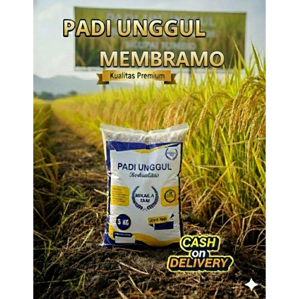 BENIH PADI UNGGUL BERKUALITAS MEMBRAMO KEMASAN 5KG