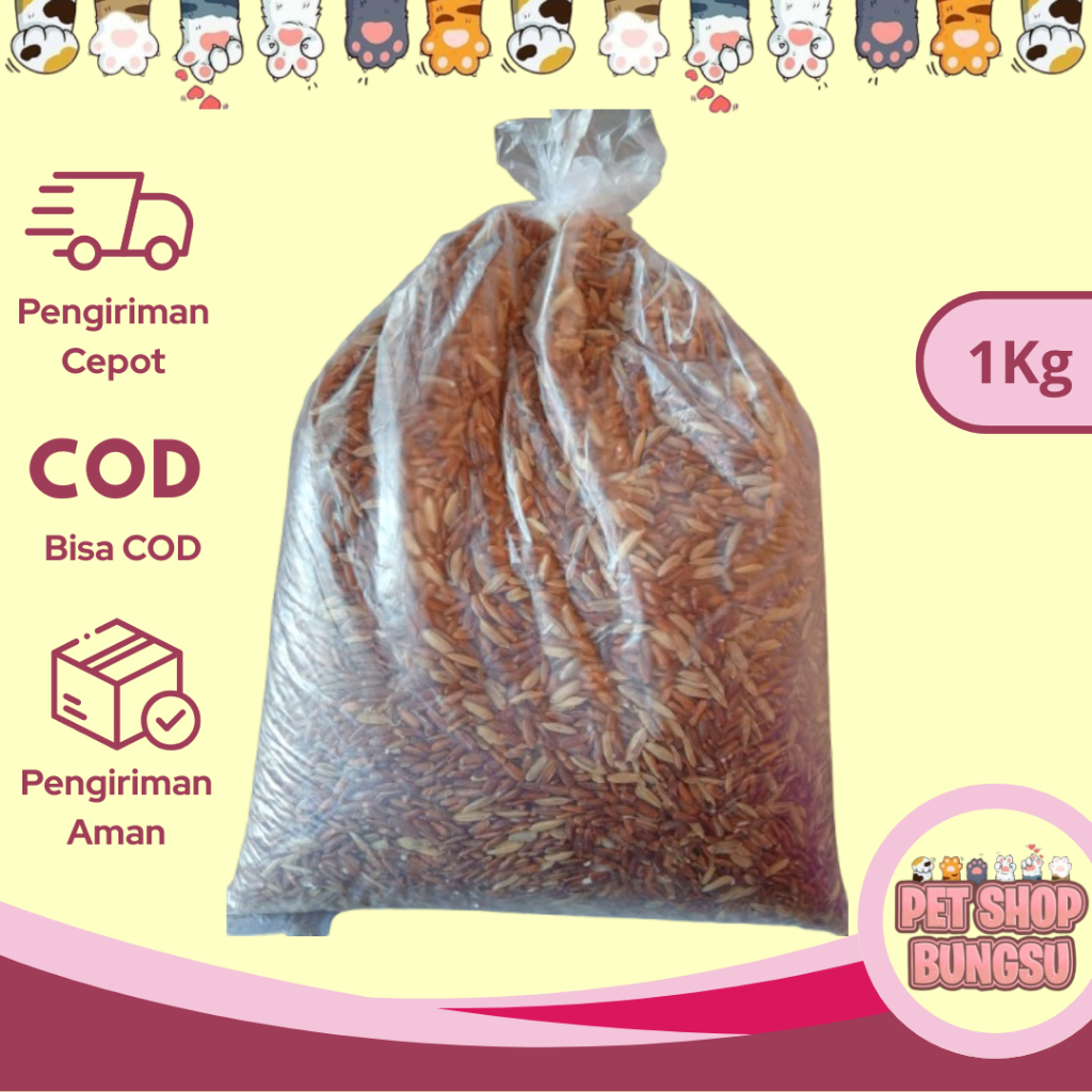 Beras Merah Pakan Burung Ada Gabah 1Kg (Pakan ayam, burung merpati) Beras Merah 1Kg Beras Merah Paka