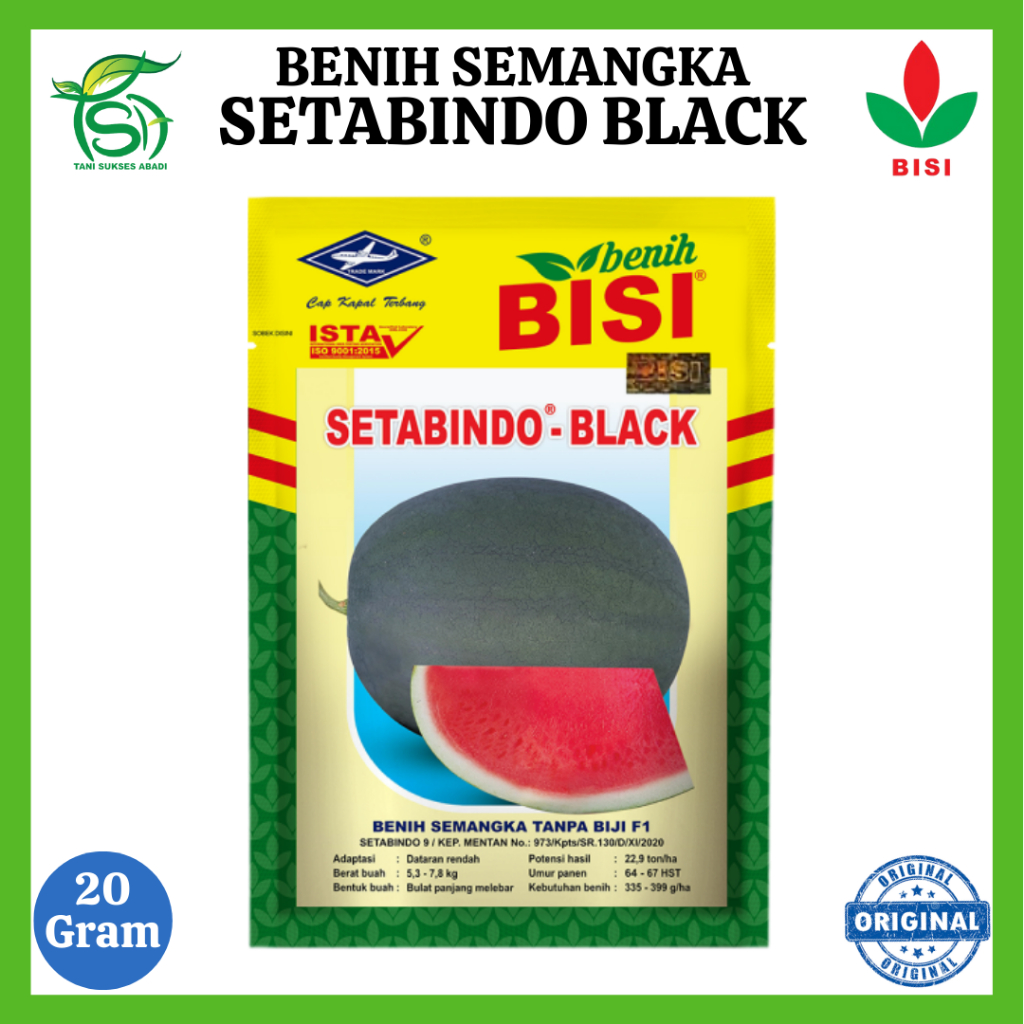 Benih Semangka SETABINDO BLACK (20 Gram) - Bibit Non Biji Hibrida F1 BISI