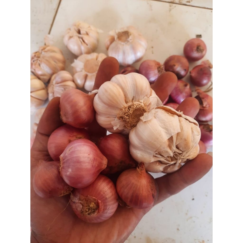 1kg mix bawang merah dan bawang putih khas daerah berkualitas