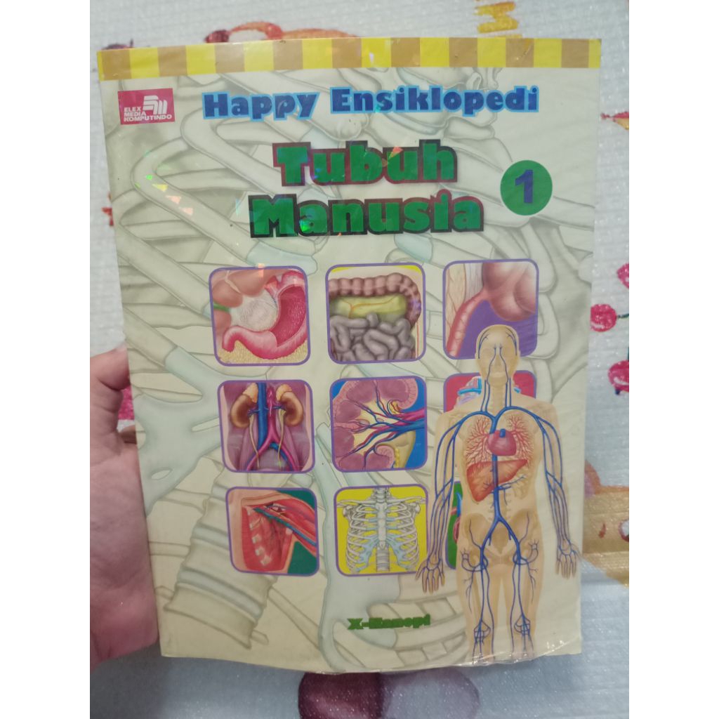 Buku Anak Happy Ensiklopedi Tubuh Manusia 1