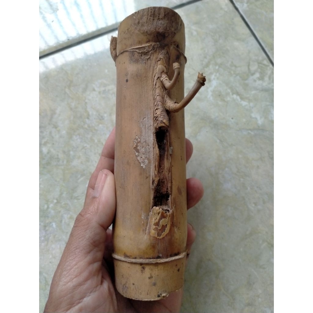 BAMBU UNIK PETUK JALU (17 CM) APUS ISTIMEWA