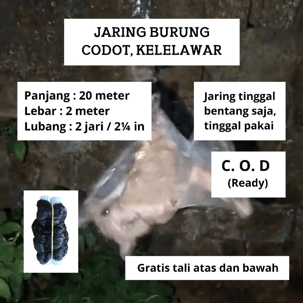 JARING CODOT PIKAT KELELAWAR JARING MONTANA SIAP PAKAI
