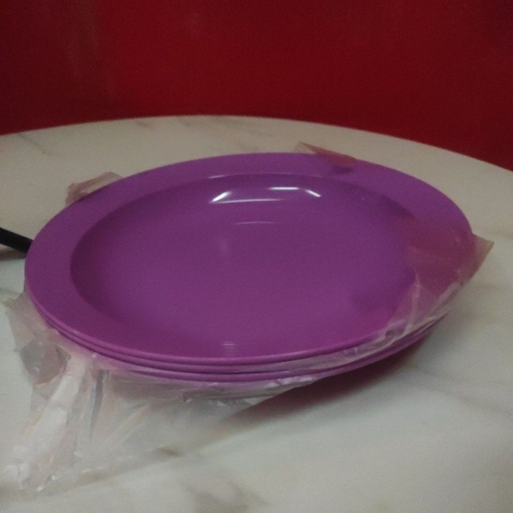 Large Deep Plate Tupperware