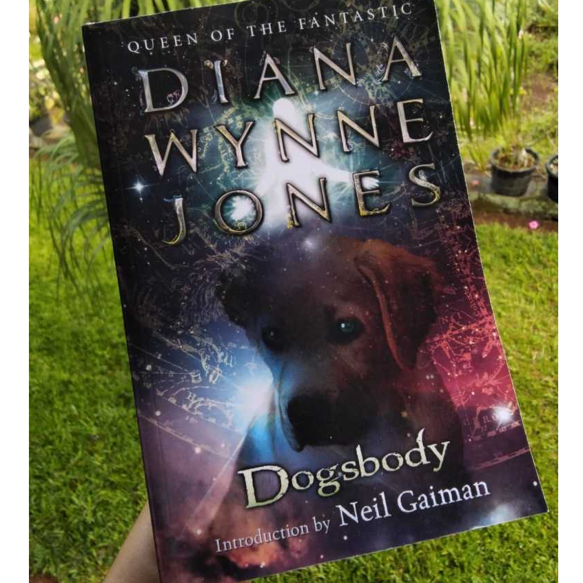 Diana Wynne Jones Dogsbody Novel Fantasy Bahasa Inggris Preloved