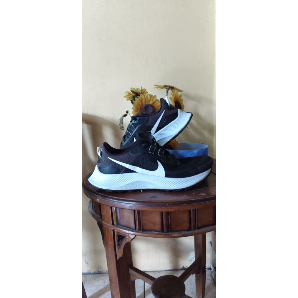 NIKE PEGASUS TRAIL 3