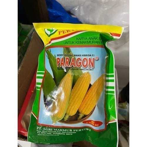 Benih JAGUNG MANIS PARAGON isi +/-1750 biji/Paragon 250g -+1750/Benih jagung manis unggul/bibit jagu