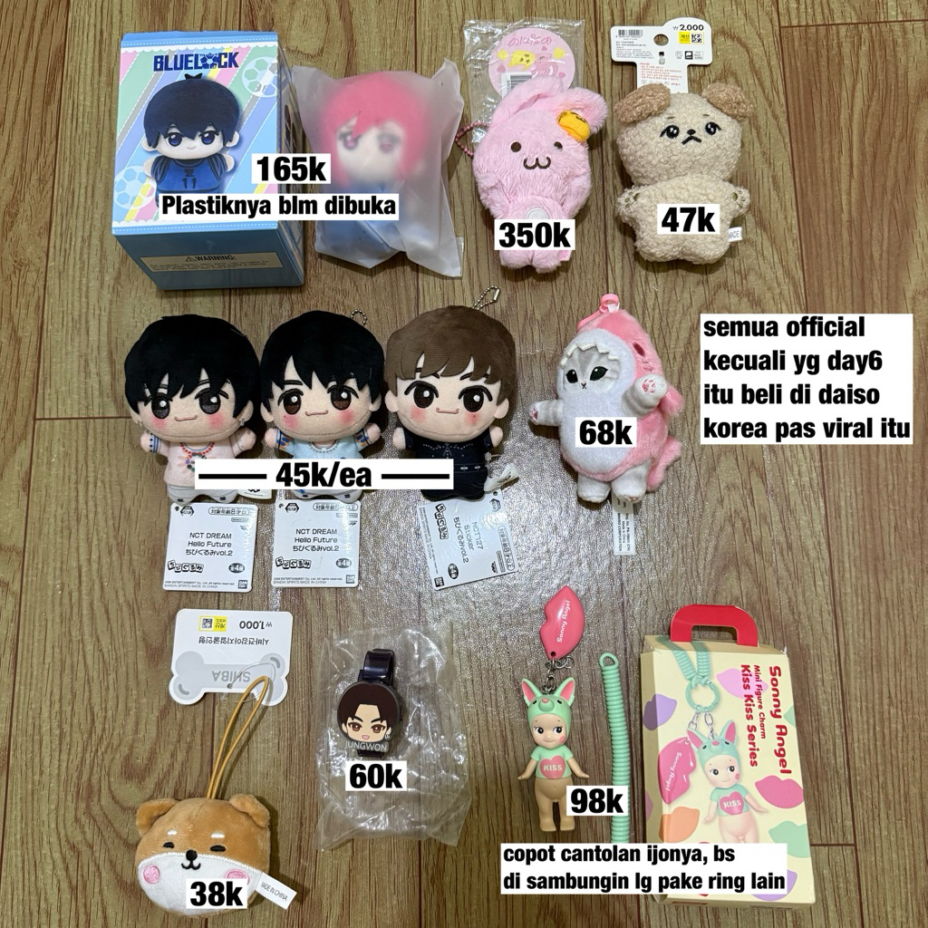 NCT Dream Bluelock Sonny Angel Magnetic Doll Pinkki Chibigurumi Jeno Jaemin Mark Mofusand Daiso Enhy