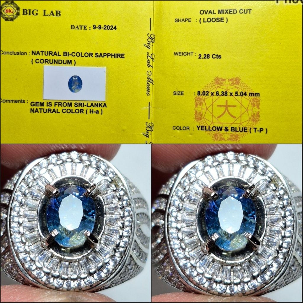 Natural Bicolor Sapphire Srilanka Ring Silver Microsetring HandMade Memo Big Lab