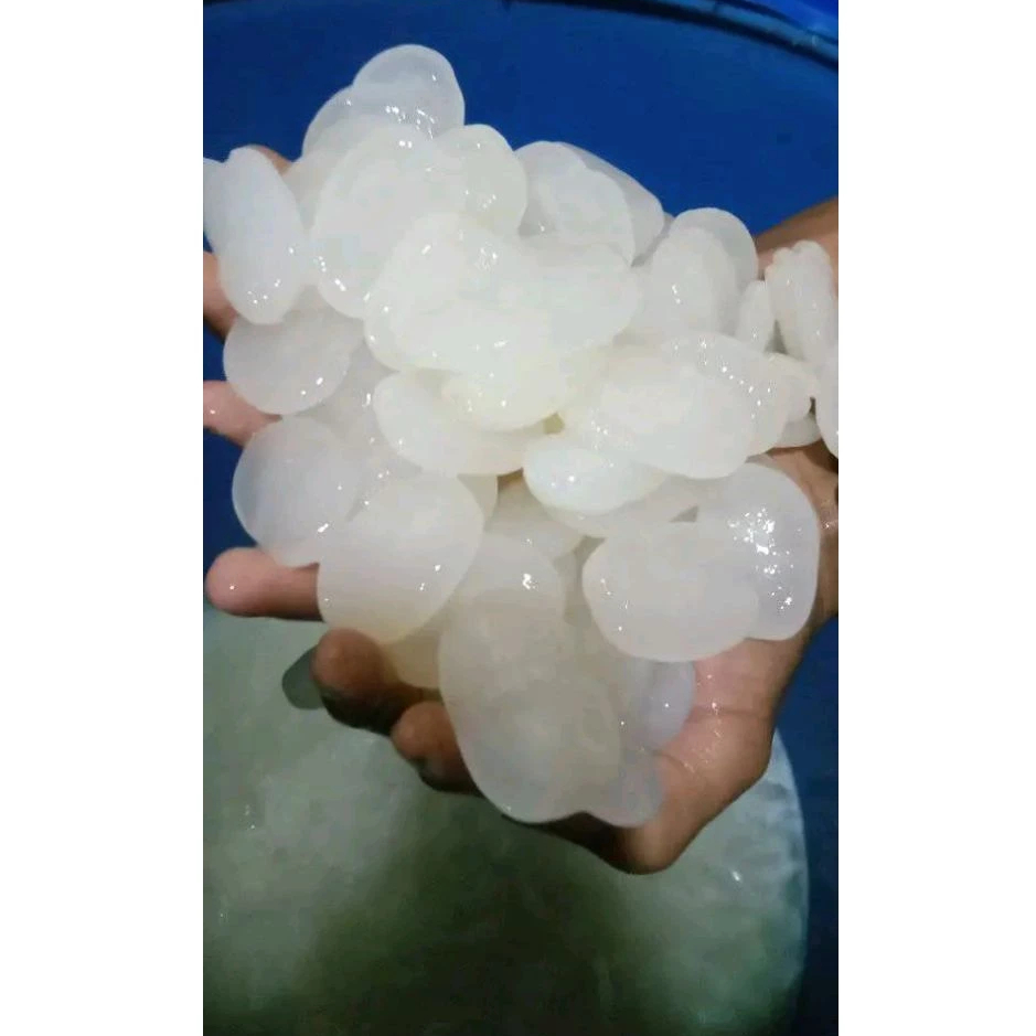 2 kg Kolang Kaling Super  Original Tanpa Pengawet