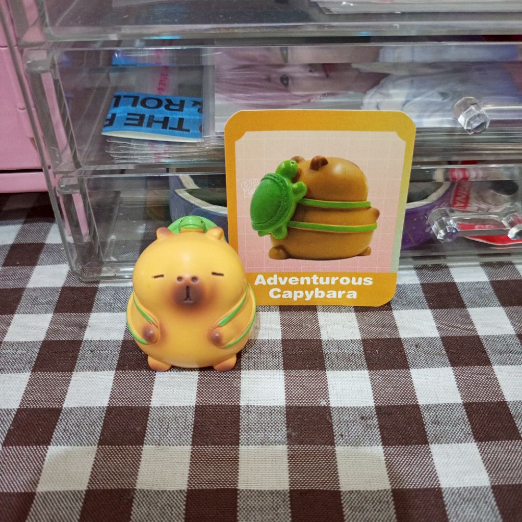 blind box mr.diy capybara (baca desk ‼️)