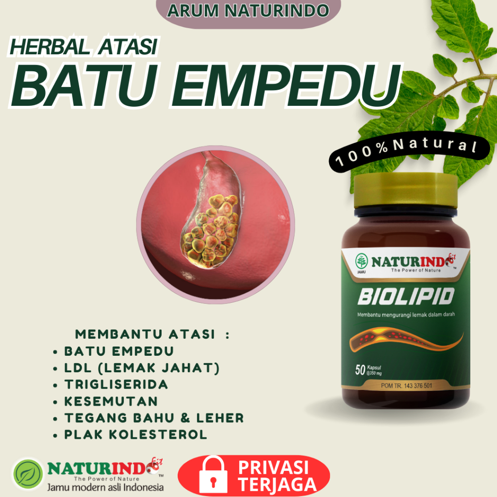Obat Batu Empedu Tanpa Operasi Penghancur Batu Empedu Ampuh Biolipid Naturindo