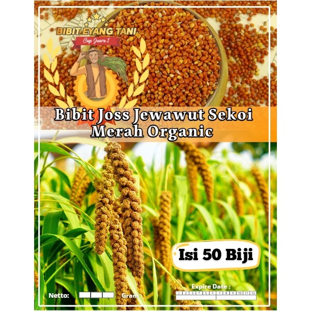 Bibit Joss Jewawut Sekoi Merah Organic | Biji Benih Jawawut Merah | Jawawut Sekoi