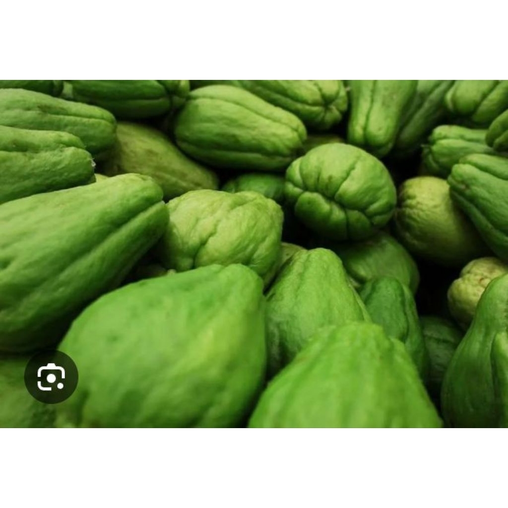 buah waluh muda 1kg 8000