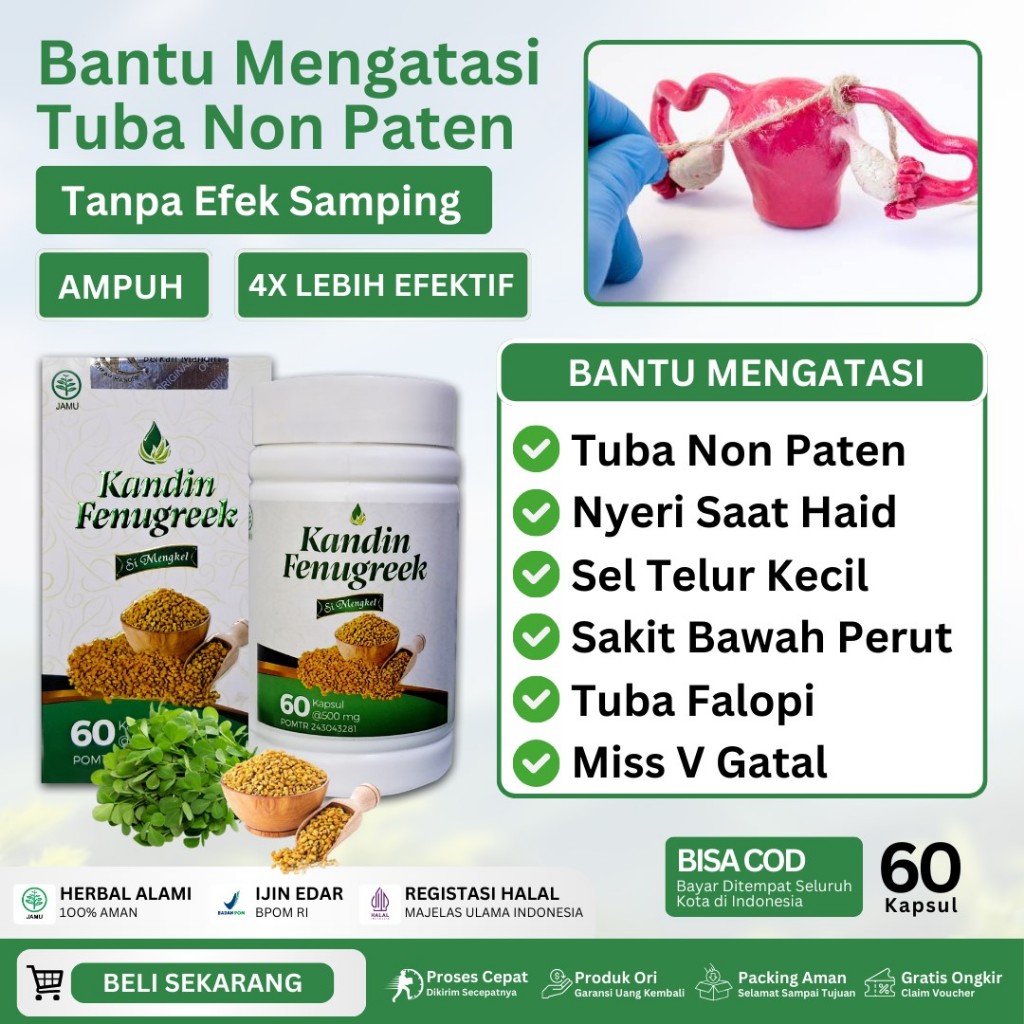 Obat Tuba Non Paten Penyumbatan Saluran Tuba Falopi Sel Telur Kecil PCOS Gangguan Ovulasi Suplemen P