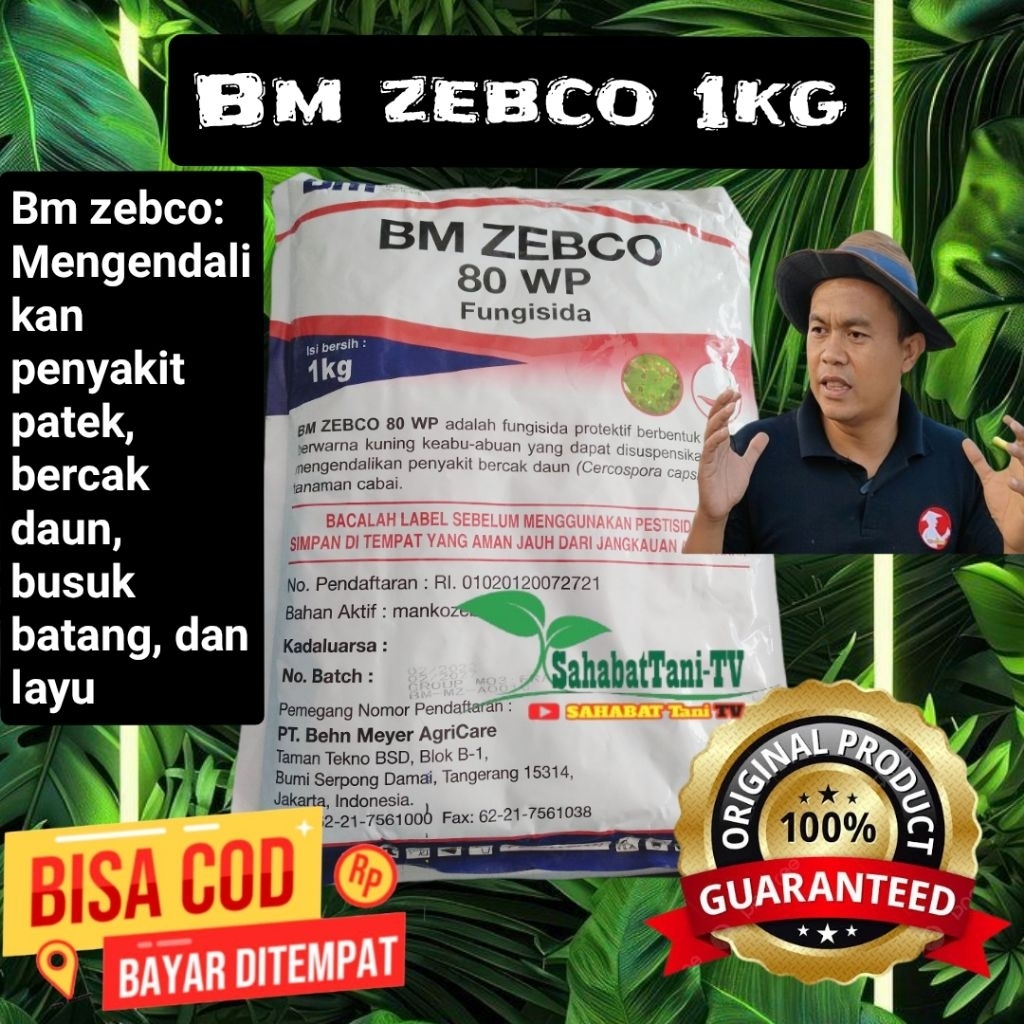 FUNGISIDA BM ZEBCO 1KG 80WP