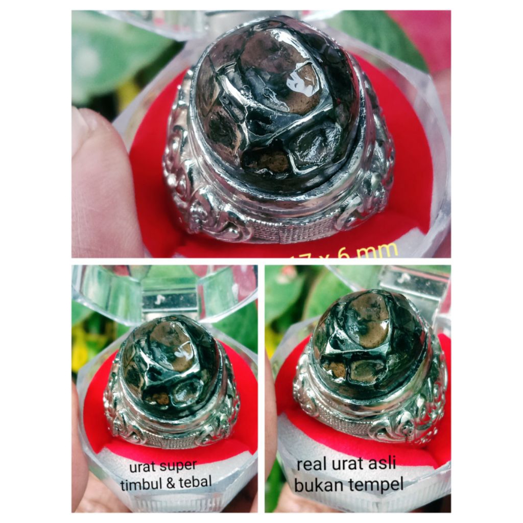 NATURAL JOLOSUTRO SUPER URAT EMAS TIMBUL & TEBAL ALAMI ring 10