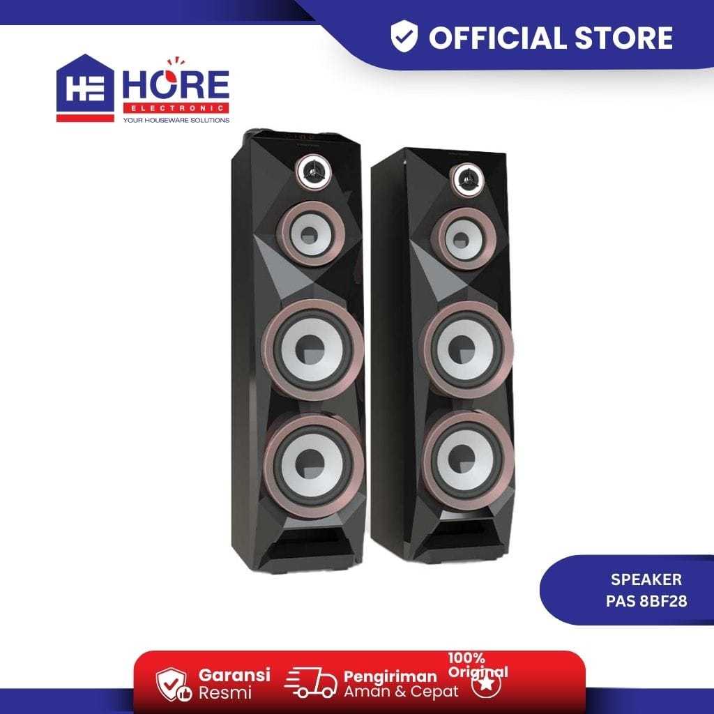 SPEAKER POLYTRON PAS 8BF28 / POLYTRON ACTIVE SPEAKER KARAOKE PAS 8BF28