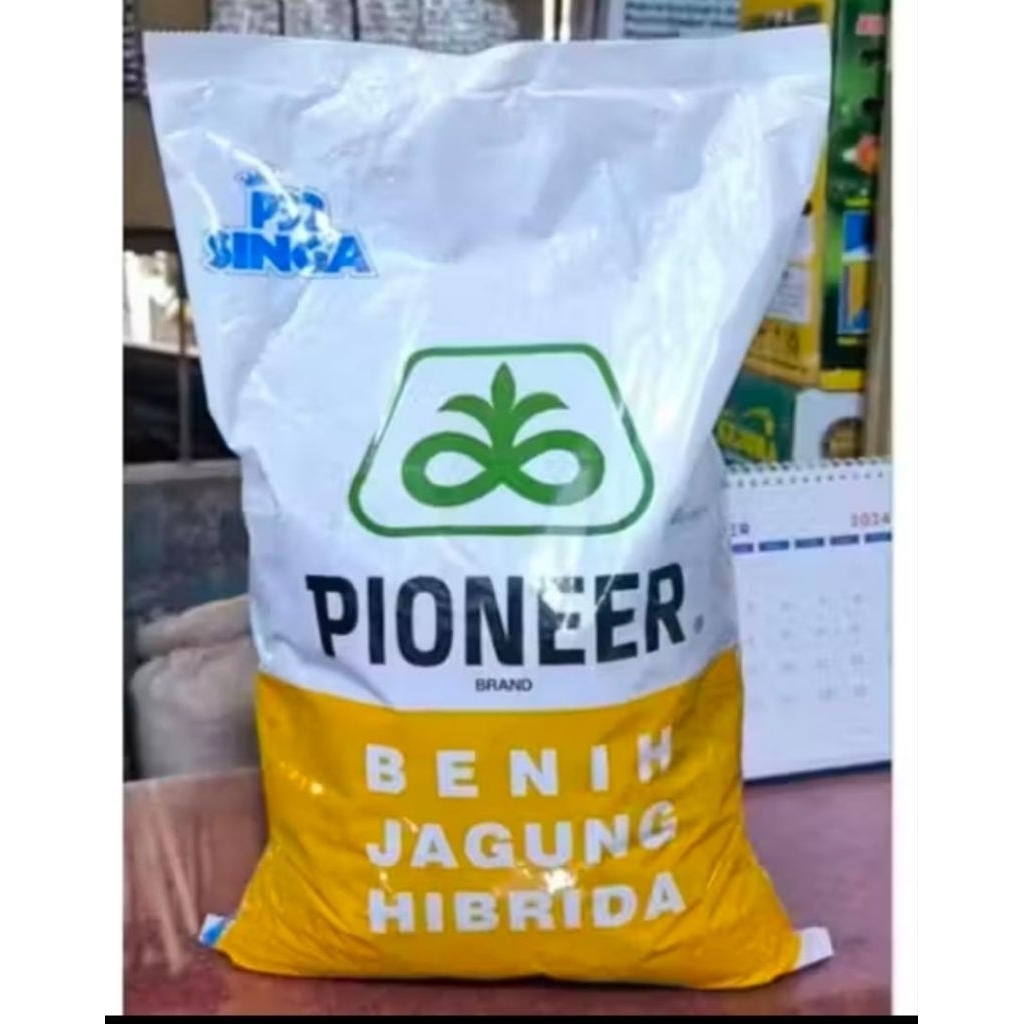 BENIH JAGUNG PIONEER P32 SINGA 5KG istimewa.