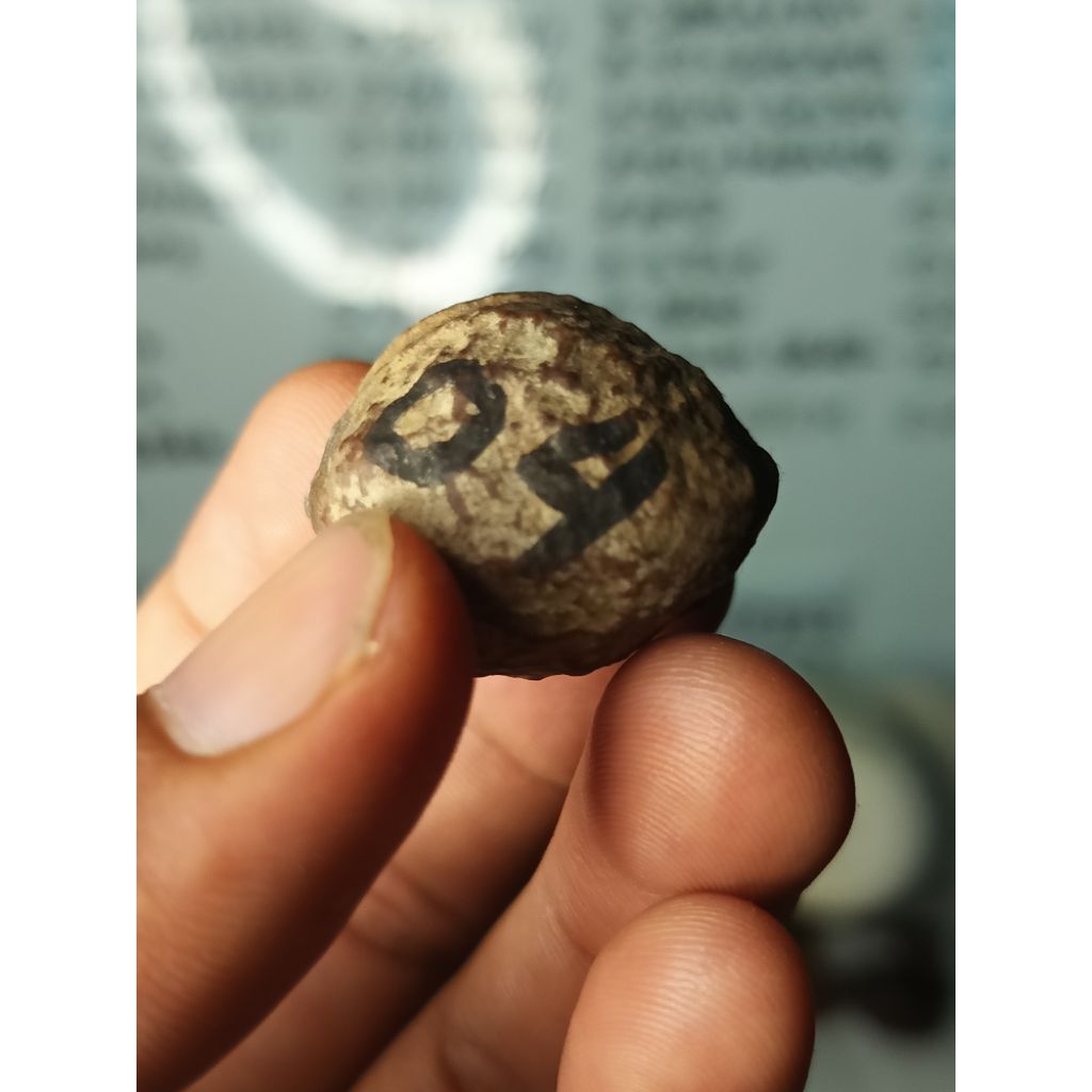 MUNCANG ADU YANTI SI GALON ORI 100%