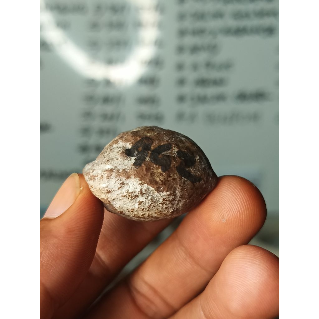 MUNCANG ADU ANAK 4G ORI 100%