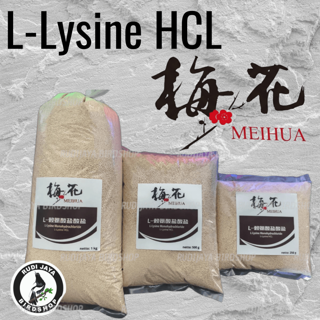 L-LYSINE 1 KG LYSINE LISIN LYSIN VITAMIN PENAMBAH NAFSU MAKAN PENGGEMUK KUCING AYAM BURUNG ANJING