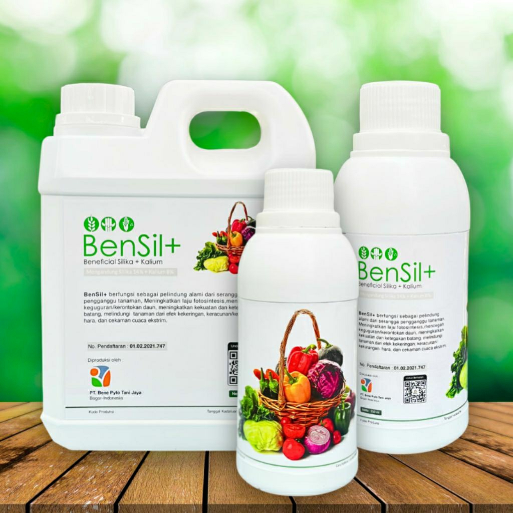 Bensil + (Pupuk Silika plus Kalium)
