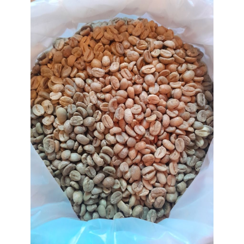 GRENBEAN ROBUSTA DAMPIT GRADE 1