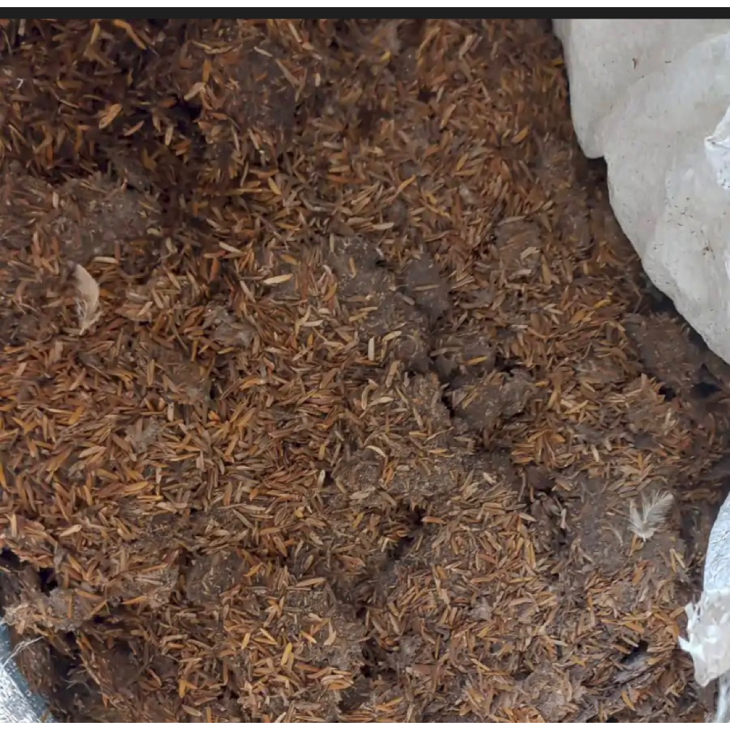 pupuk kandang lengkap / pupuk NPK / kohe sapi kambing ayam sekam