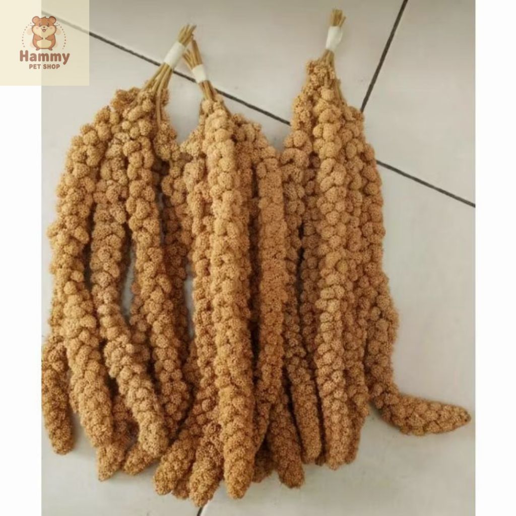 1 tangkai Jewawut Foxtail Hamster Makanan Yellow Milet Hamster Premium