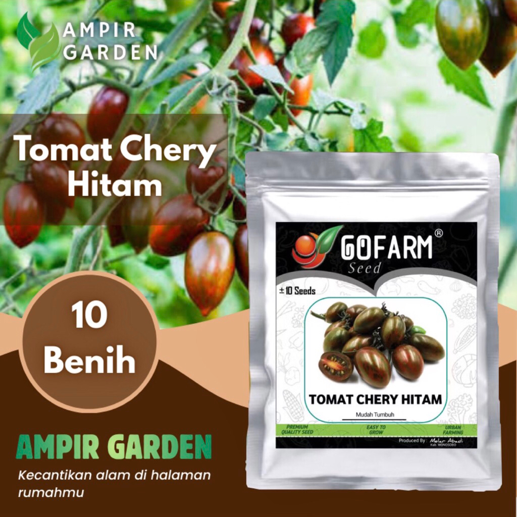 Benih TOMAT CHERY HITAM Kemasan Premium GOFARM / Biji Tanaman Tomat Hitam Mini Ceri