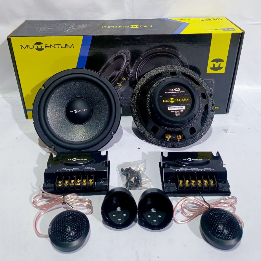 Speaker Momentum CX-62G Split 2 way component