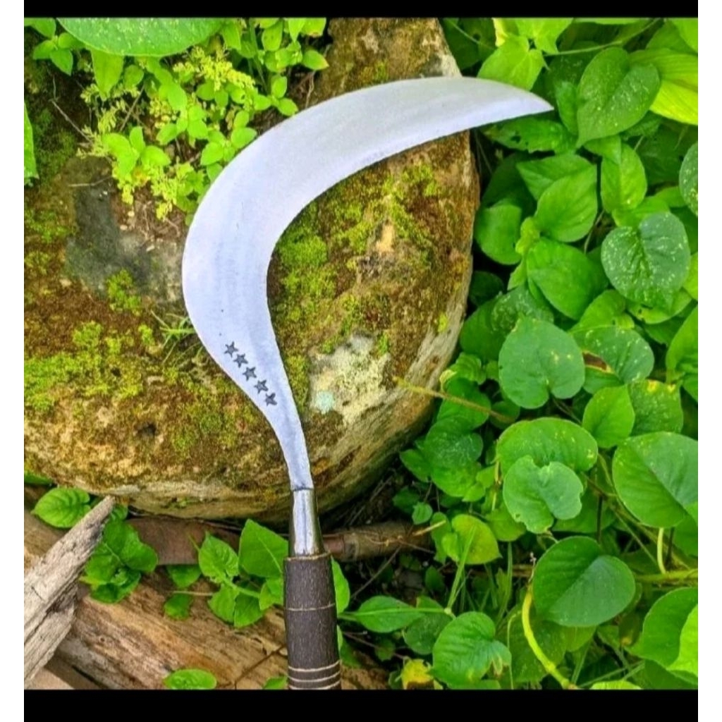 Sabit rumput dan padi bahan baja per murni