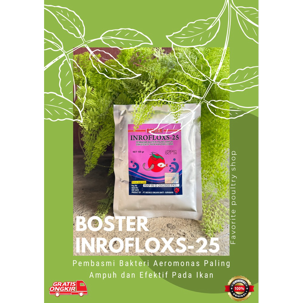 BOSTER INROFLOKS -25 serbuk 100 gram INROFLOXS 25
