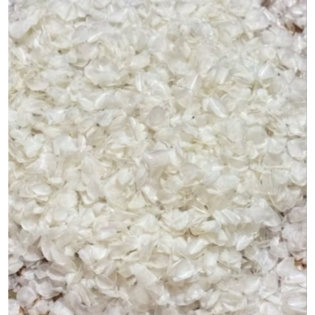 Sisik Ikan Kakap 1000gr