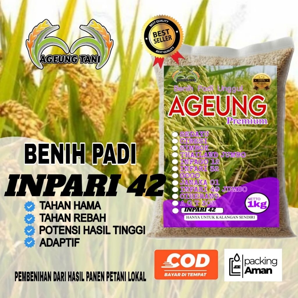 BENIH PADI UNGGUL INPARI 42 KEMASAN 1KG