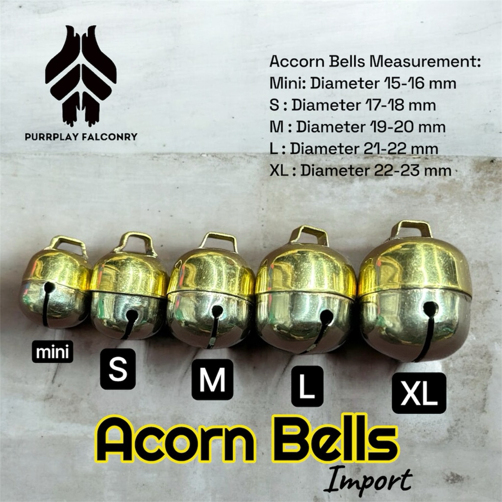 Acorn Bells Import – Accorn Bell Kualitas Premium untuk Falconry & Burung Predator