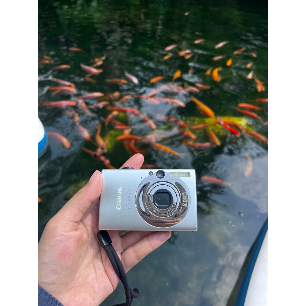 canon ixus 80is