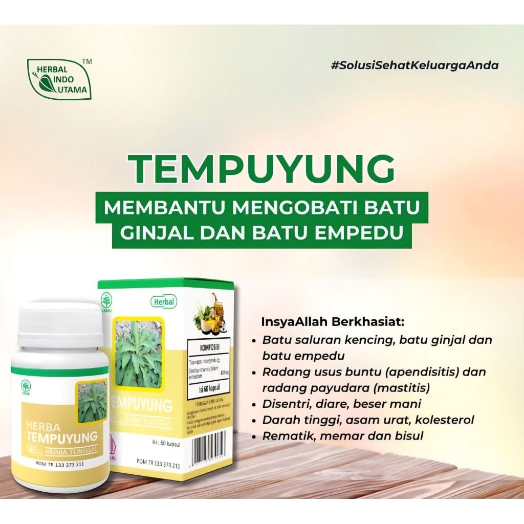 Kapsul Tempuyung Menghancurkan Batu Ginjal dan Batu Empedu