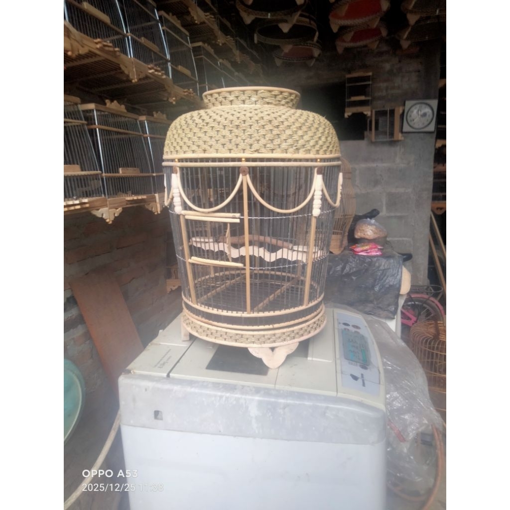 sangkar kutut kandang burung perkutut